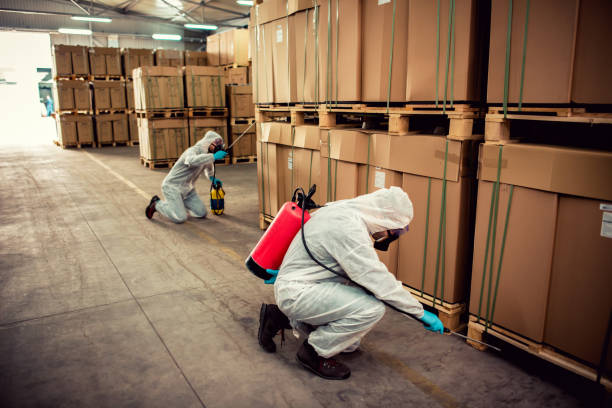 Best Cockroach Control Services  in Milton, LA