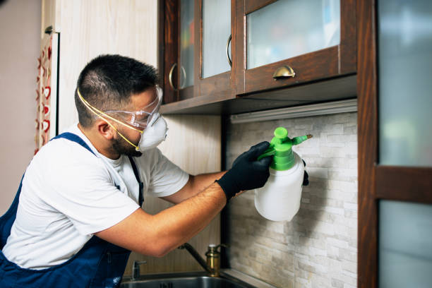 Best Exterminator Services  in Milton, LA