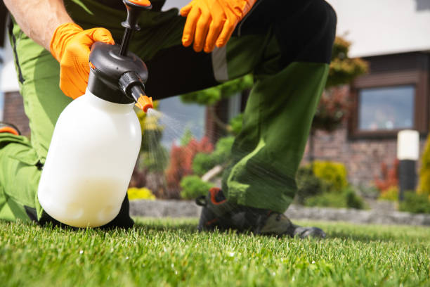 Best Insect Control  in Milton, LA
