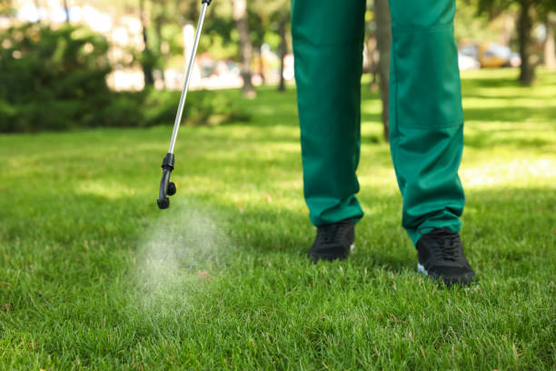 Best Local Pest Control Services  in Milton, LA