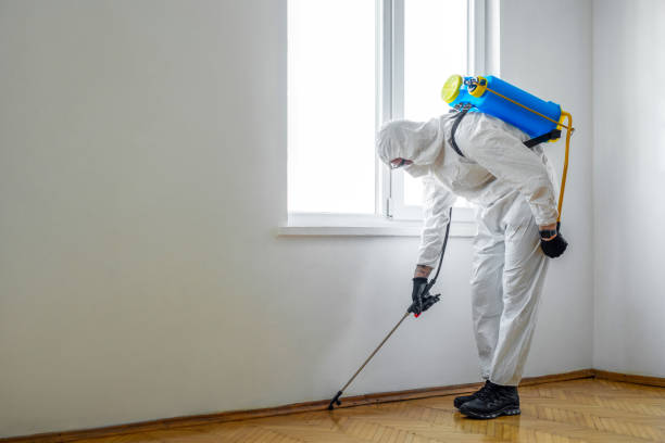 Best Best Pest Control Companies  in Milton, LA