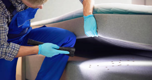 Best Pest Control Near Me in Milton, LA