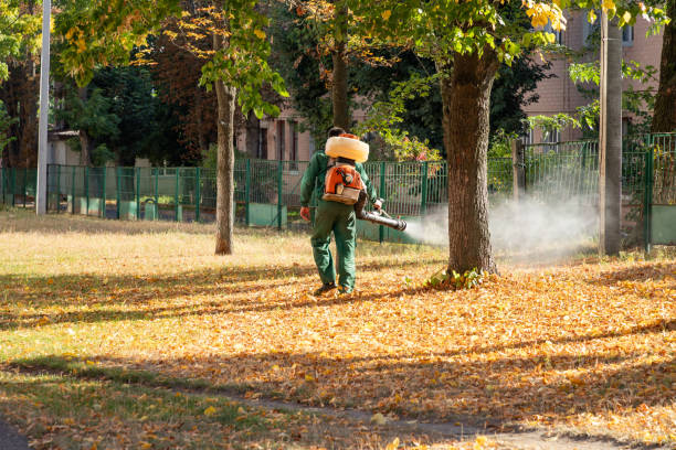 Best Mosquito Control Services  in Milton, LA