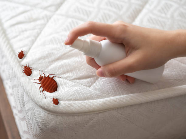Best Pest Removal Services  in Milton, LA
