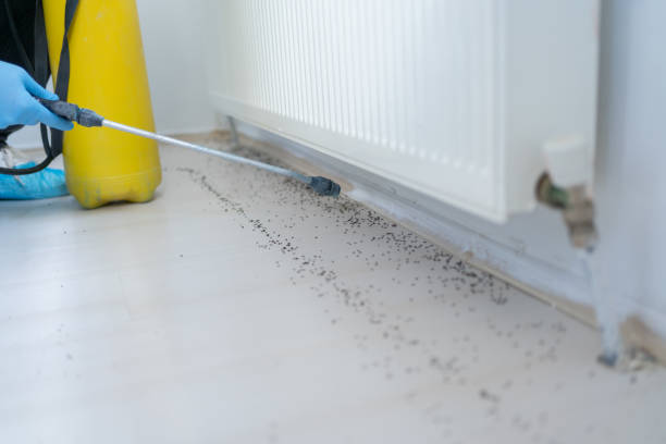 Trusted Milton, LA Pest Control Experts