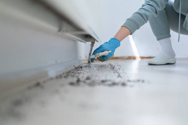 Best Pest Inspection Near Me  in Milton, LA