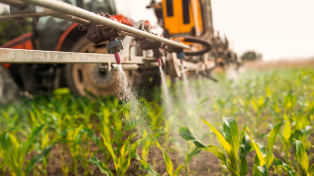 Best Insect Control  in Milton, LA